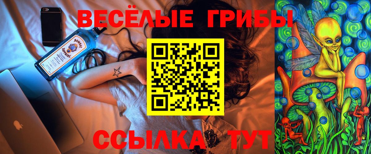 Саяногорск  Галлюциногенные грибы прущие грибы  Галлюциногенные грибы Psilocybe  Вход с VPN 